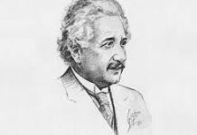 La influencia humana en osos: desde su comportamiento hasta cambios genéticos