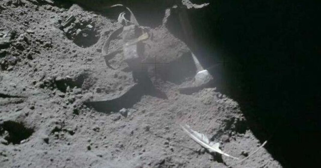 ¿Una pluma sobre la Luna? La explicación tras la imagen histórica que ...