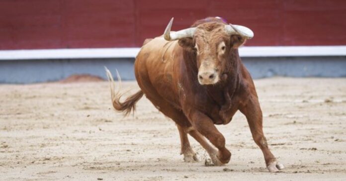 Dónde ver la Feria de Hogueras de Alicante 2026 en directo: cartel de hoy, miércoles 24 de junio