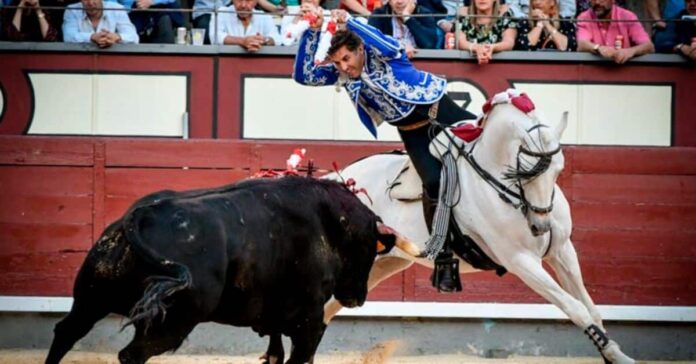 Dónde ver la Feria de Hogueras de Alicante 2026 hoy por televisión: cartel y retransmisión del sábado 27 de junio