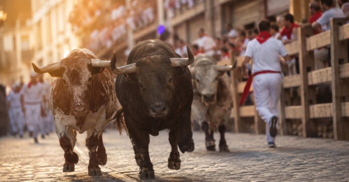 El origen de los Sanfermines: la evolución histórica de las fiestas de Pamplona desde el siglo XII hasta la novela de Hemingway