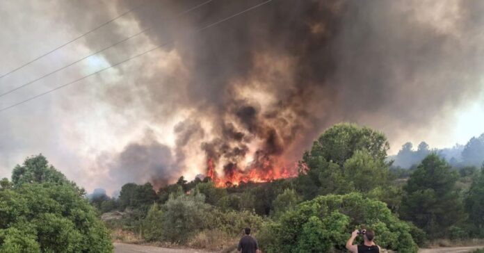 Alerta medioambiental: La superficie forestal quemada se dispara un 36% en España en solo dos semanas