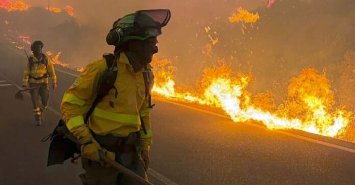 Tragedia en Almería: al menos once muertos y más de 1.000 evacuados en un devastador incendio forestal en Los Gallardos