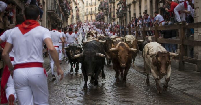 Séptimo encierro de San Fermín 2026: los toros de Miura completan el recorrido en dos minutos y 34 segundos