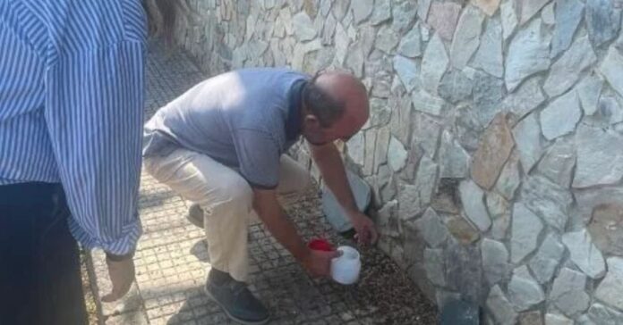 La plaga de gusanos se extiende por Asturias y alcanza las instalaciones ganaderas de Valdés