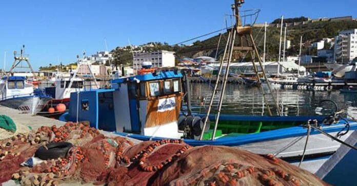 El sector pesquero de Ceuta, en jaque: entre una aduana comercial fantasma y una almadraba a pérdidas