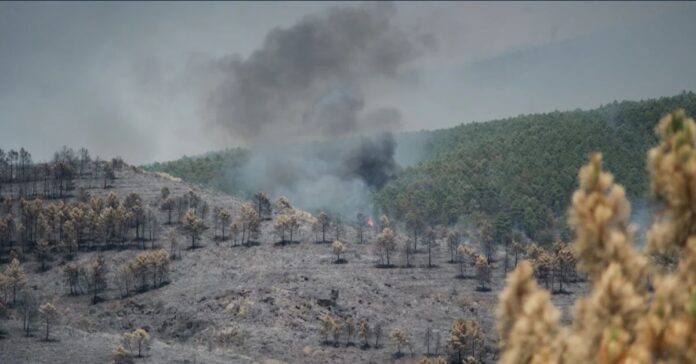Los incendios forestales se extienden en el interior peninsular: las llamas de La Mierla alcanzan Soria y el fuego de Ejulve obliga a evacuar Molinos y movilizar a la UME