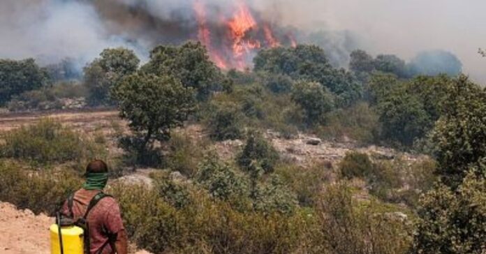 El avance del fuego en Guadalajara se frena a las puertas de Soria en una jornada crítica de incendios en España