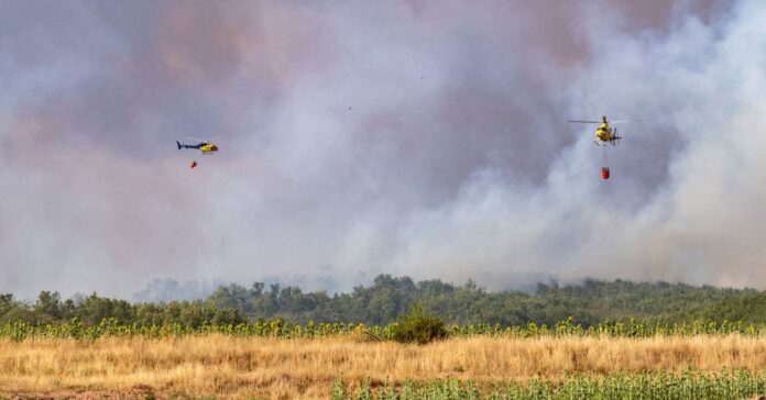 Evacuado El Encinar del Alberche y confinado el municipio de Villa del Prado por un incendio forestal en Almorox