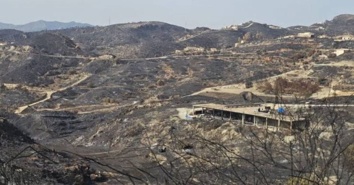 El Parlamento analiza el incendio de Almería: un fuego «extraordinario» que se propagó a 128 metros por minuto