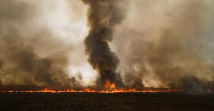 El humo de los incendios puede dañar los pulmones a kilómetros del fuego: síntomas y cómo protegerse