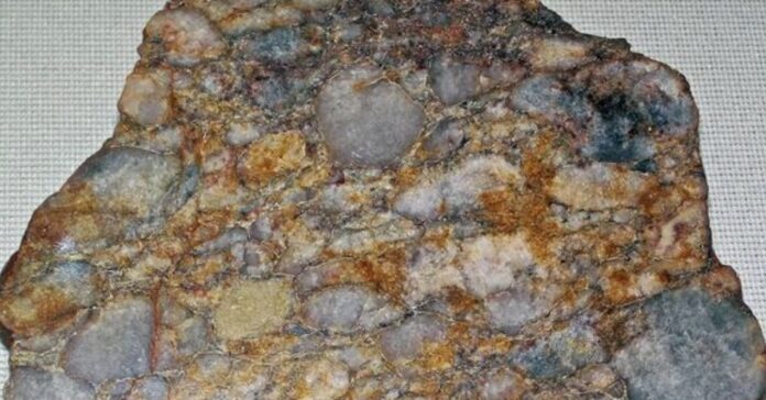 Una madera fosilizada revela 300 millones de años de historia geológica desde la era de Pangea