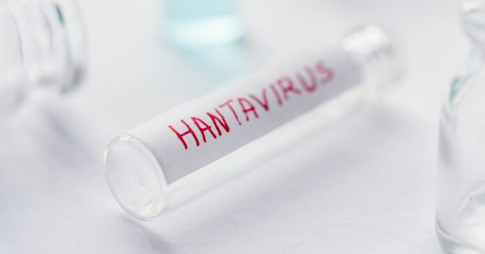Sanidad confirma un caso de hantavirus Andes en un turista que se encuentra aislado en Galicia