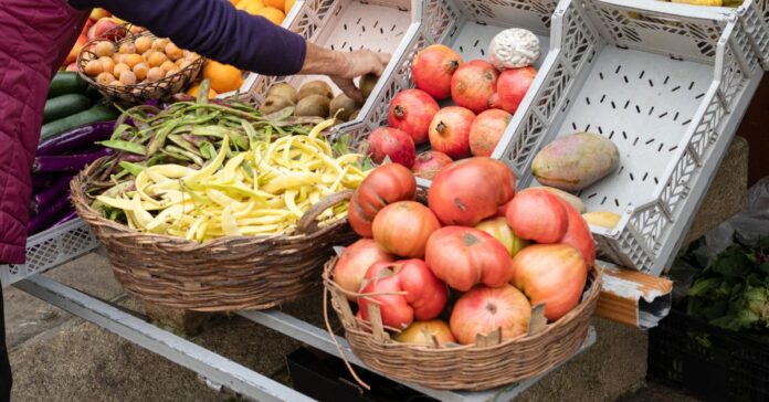 El campo español eleva la presión contra Marruecos por la competencia agrícola y reclama más controles