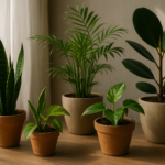 Plantas de interior sencillas para cuidar: guía para seleccionar y mantener tus plantas verdes sin complicaciones Plantas de interior fáciles de cuidar: guía para elegir y mantener tus verdes sin complicarte