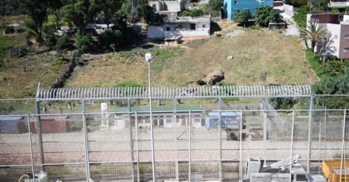 Europa endurece su política migratoria: de cuestionar las concertinas a impulsar retornos fuera de la UE