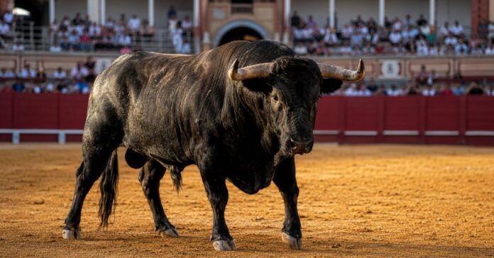 Dónde ver los toros hoy lunes 10 de agosto: horarios y televisión de Huesca y Málaga