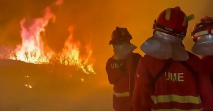El incendio de Niebla entra en Sevilla por Aznalcóllar y supera ya las 25.000 hectáreas