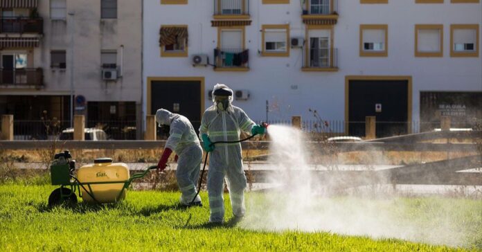 Sevilla supera los 30 casos de Virus del Nilo con Villamanrique como principal foco