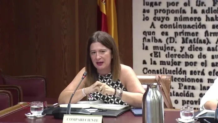 La gerente del PSOE declara en la Audiencia Nacional por las maniobras y pagos a Leire Díez